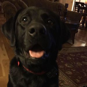 Meet your Posher, Gail